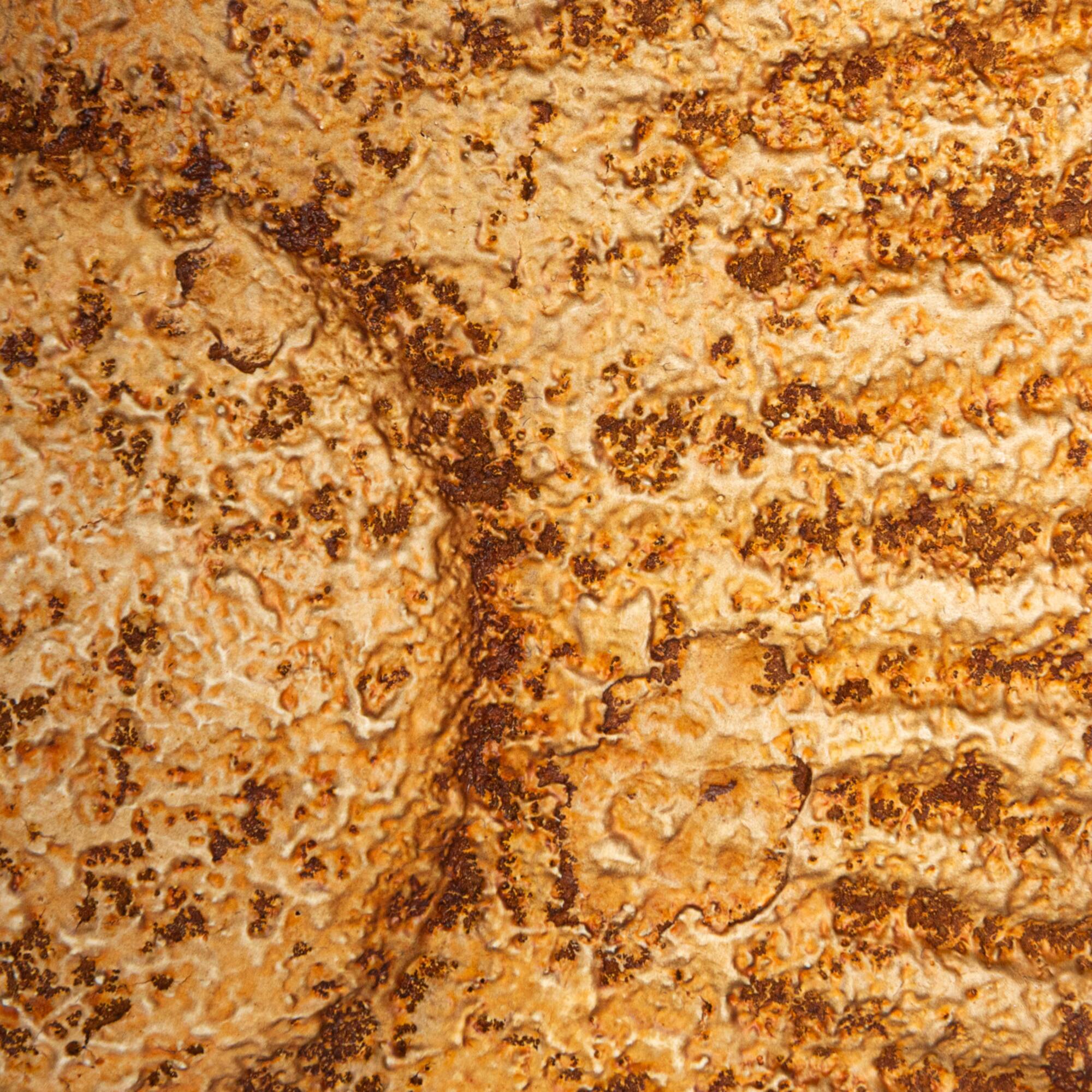 Hello Honey® 11.75" Distressed Gold Salmon Tail Metal Wall Décor